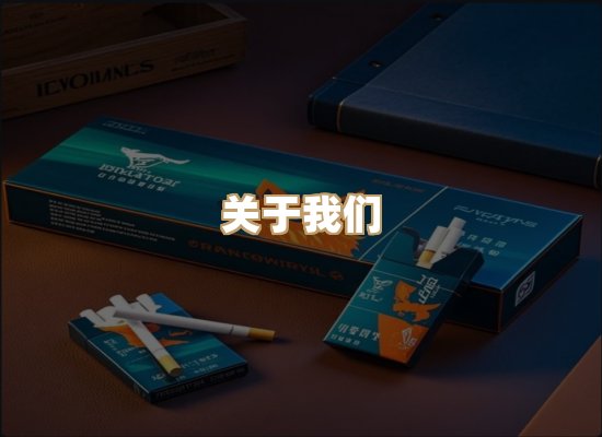 关于云歌烟网